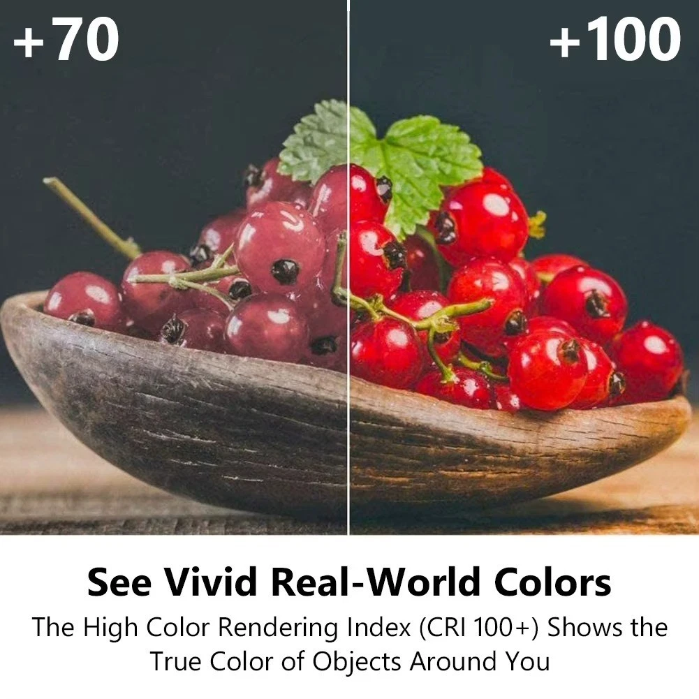 10Pcs G4 Halogen Light Bulbs 10W 20W 12V 2 Pin Two Prong with Prongs Small Mini - Image 2